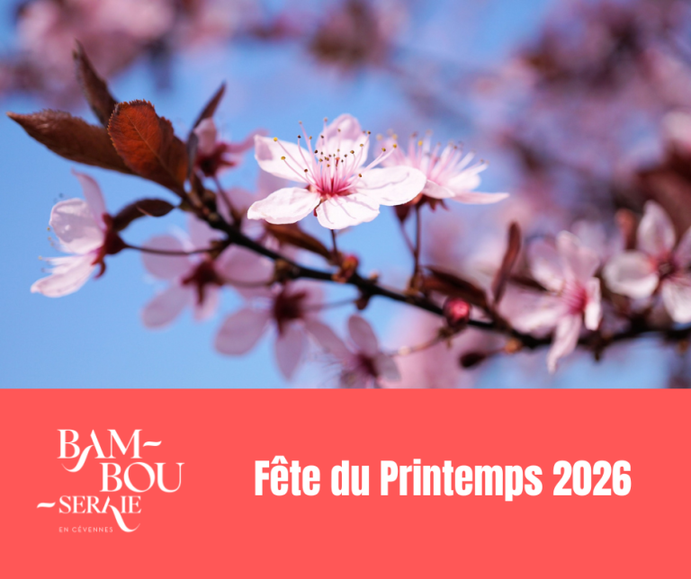 Fête du Printemps