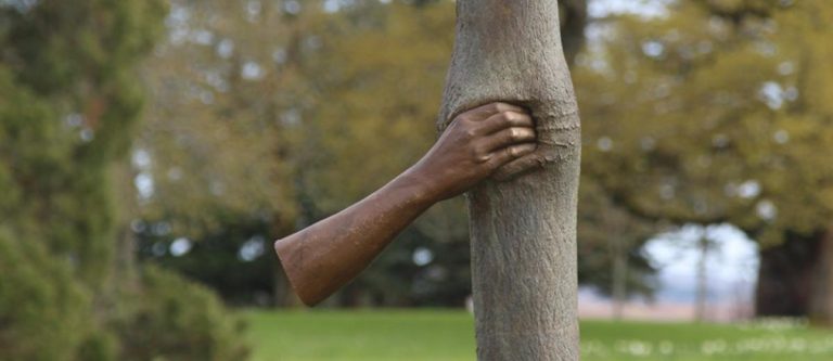 Conversations sous l'arbre
