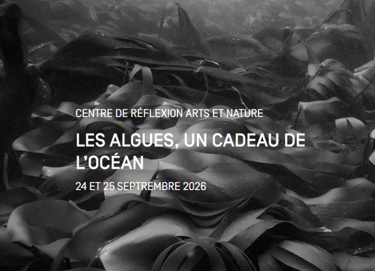 Conversations sous l'arbre