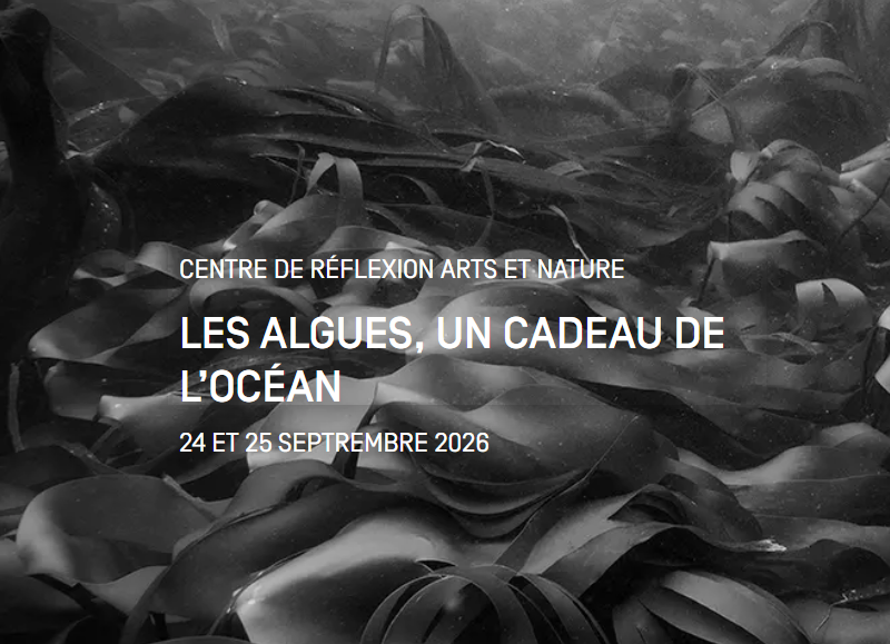 Conversations sous l'arbre